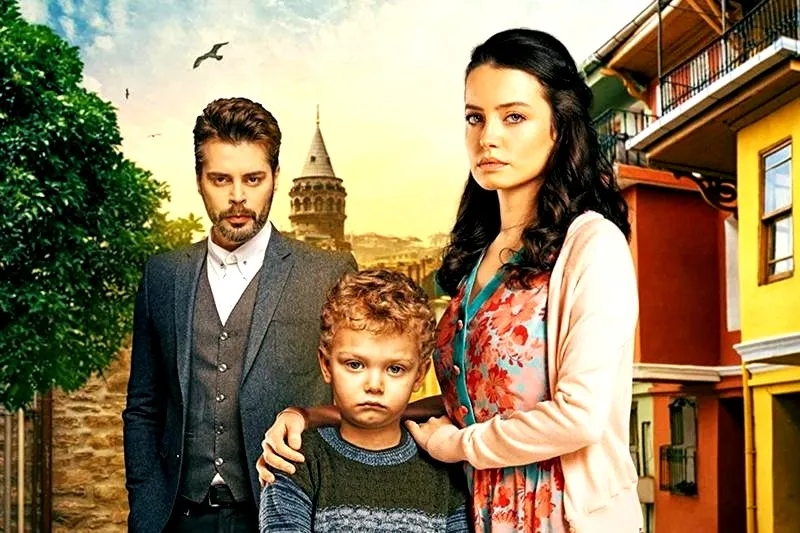 Co dalej po zranionych ptakach? O czym warto wiedzieć w kontekście filmu