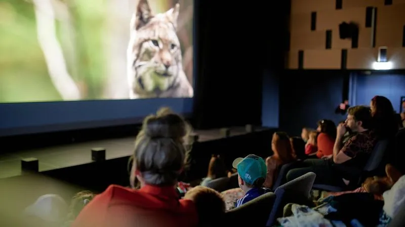 Co nowego w świecie kina? Czym chata bogata w filmowe emocje