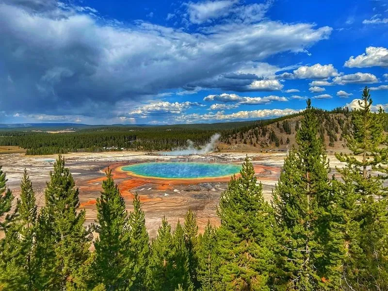 Czy sprawdzisz, czy serial Yellowstone jest dostępny na Netflixie?