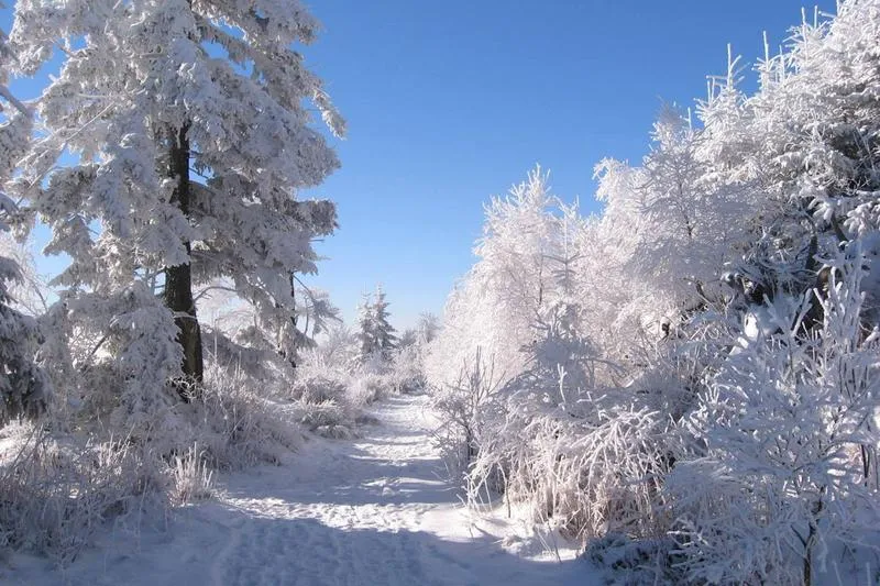 Gdzie oglądać serial Szadz? Przewodnik po najlepszych platformach streamingowych