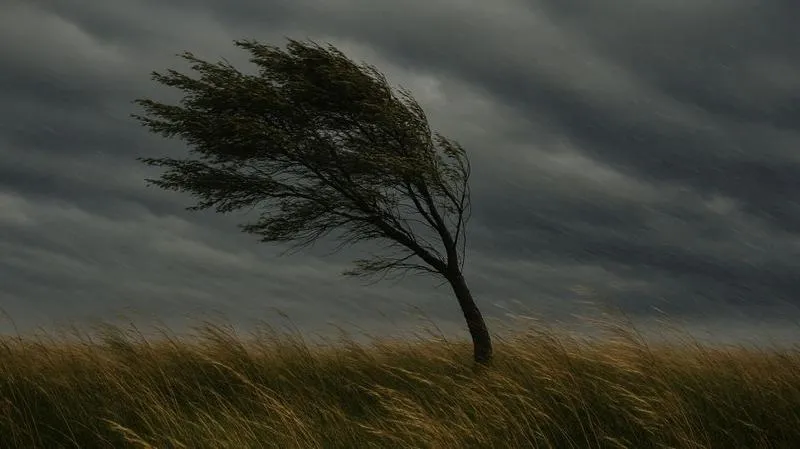 Kto wiatr sieje? Odkryj pełną historię filmu, który porusza emocje