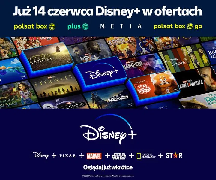 Disney+ profile