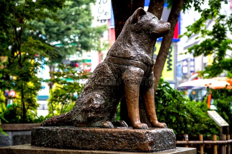 Film o Hachiko