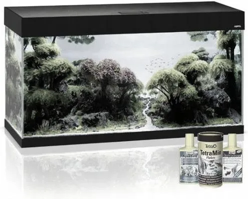 Gatunki ryb do akwarium