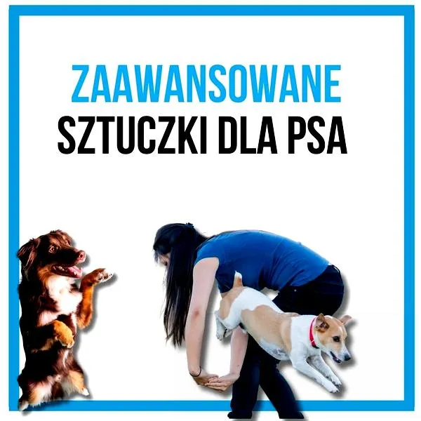 Kulisy produkcji filmów