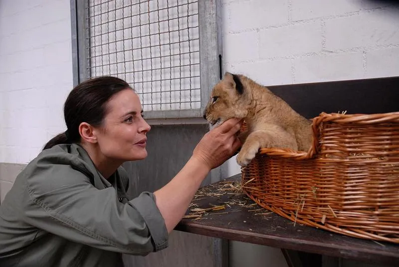 Liczba odcinków w sezonie