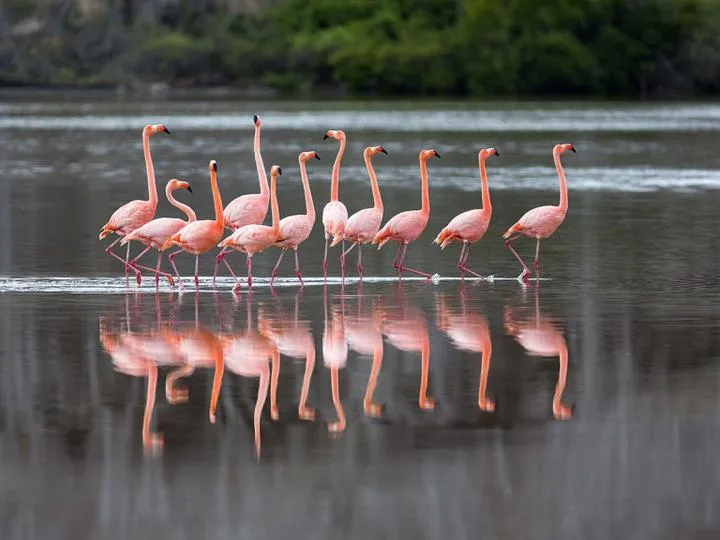 Obsada serialu Odbicia