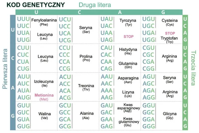 Premiera serialu TVN