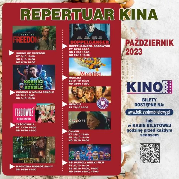 Przyczyny braku filmów