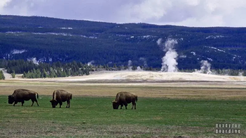 Serial Yellowstone tajemnice