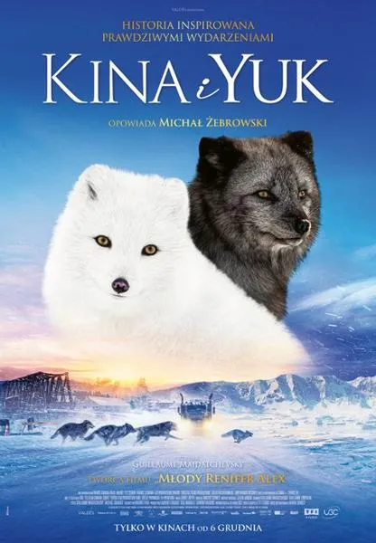 Wyszukiwanie filmów online