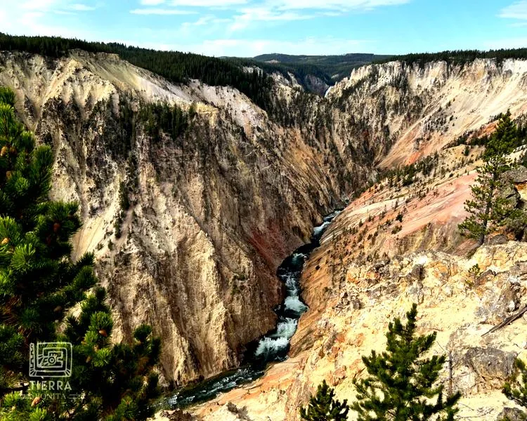 Yellowstone dostępność
